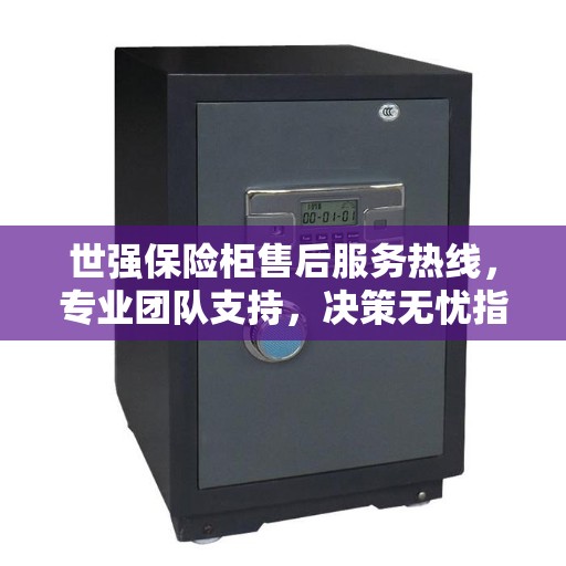 世强保险柜售后服务热线，专业团队支持，决策无忧指南