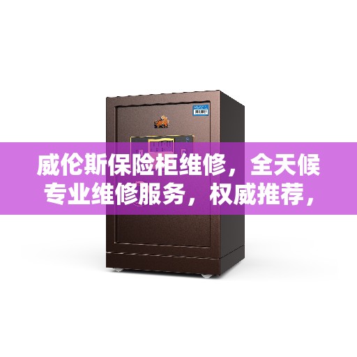 威伦斯保险柜维修，全天候专业维修服务，权威推荐，快速响应！