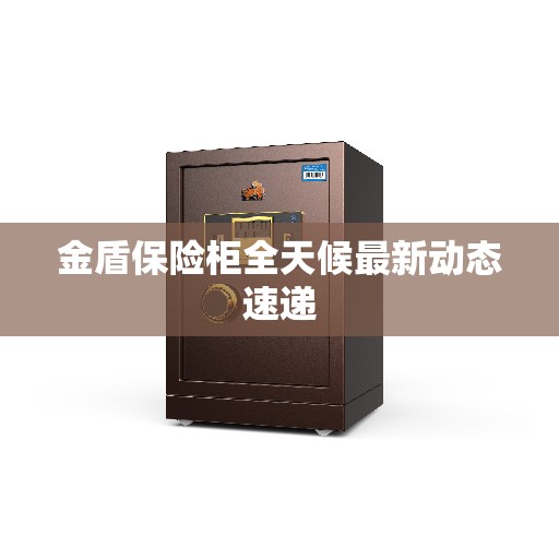 金盾保险柜全天候最新动态速递 金盾保险柜全天候最新动态速递