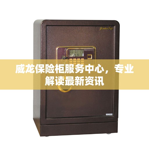 威龙保险柜服务中心，专业解读最新资讯