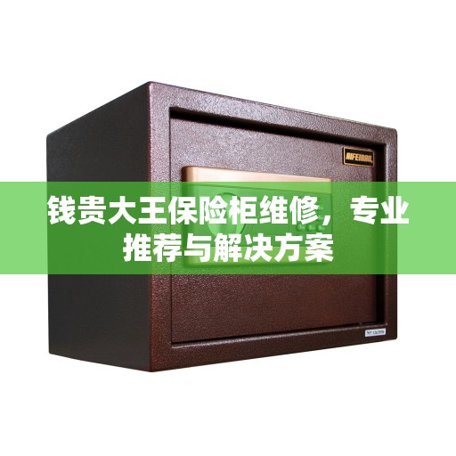 钱贵大王保险柜维修，专业推荐与解决方案