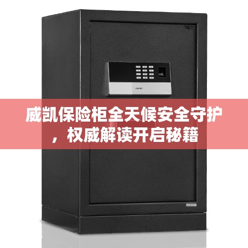威凯保险柜全天候安全守护，权威解读开启秘籍
