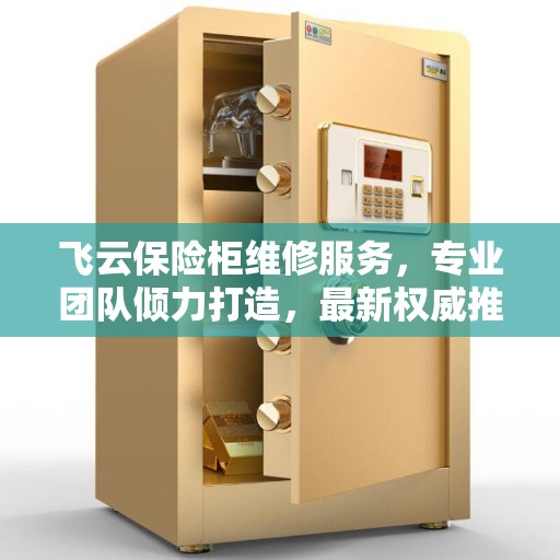 飞云保险柜维修服务，专业团队倾力打造，最新权威推荐解决方案