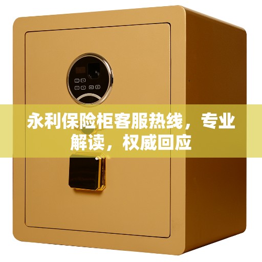 永利保险柜客服热线，专业解读，权威回应