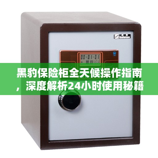 黑豹保险柜全天候操作指南,深度解析24小时使用秘籍 黑豹保险柜全天候操作指南,深度解析24小时使用秘籍