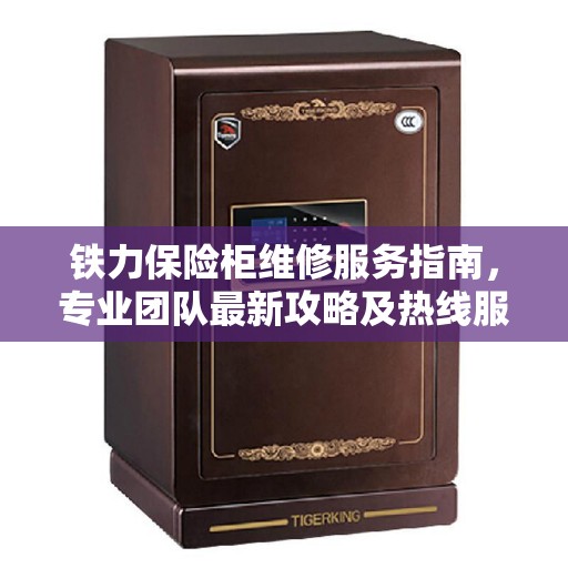 铁力保险柜维修服务指南，专业团队最新攻略及热线服务