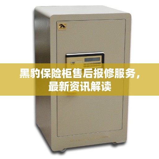 黑豹保险柜售后报修服务，最新资讯解读