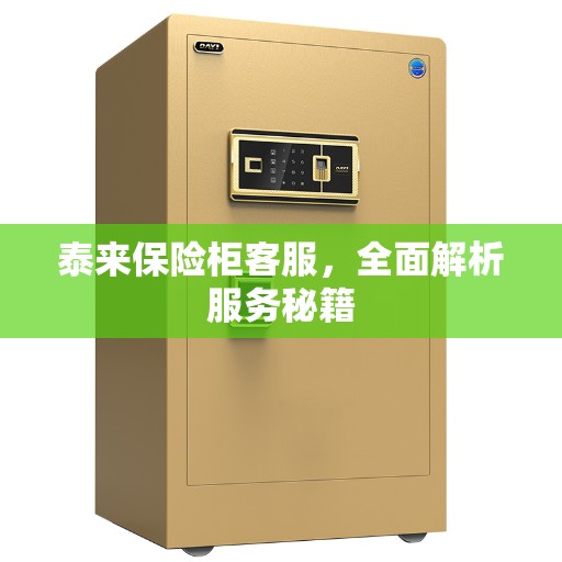 泰来保险柜客服，全面解析服务秘籍