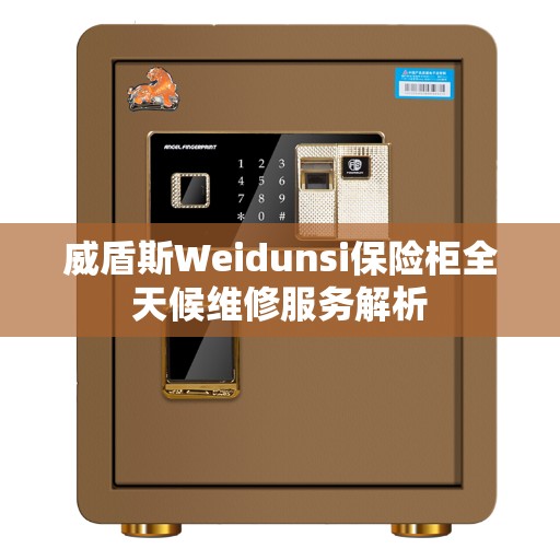 威盾斯Weidunsi保险柜全天候维修服务解析