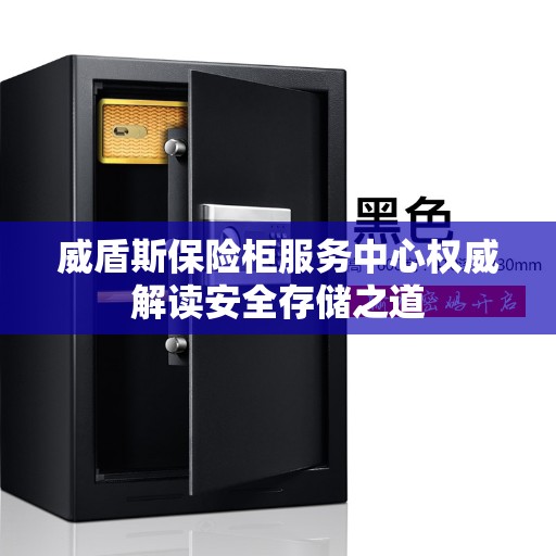 威盾斯保险柜服务中心权威解读安全存储之道