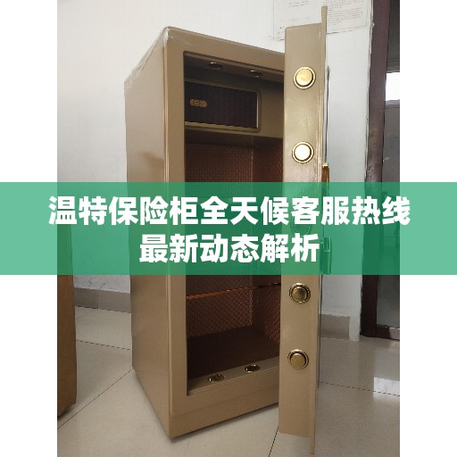 温特保险柜全天候客服热线最新动态解析