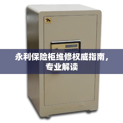 永利保险柜维修权威指南，专业解读