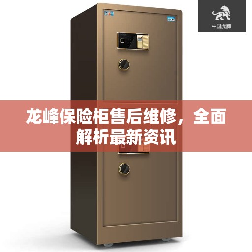 龙峰保险柜售后维修，全面解析最新资讯