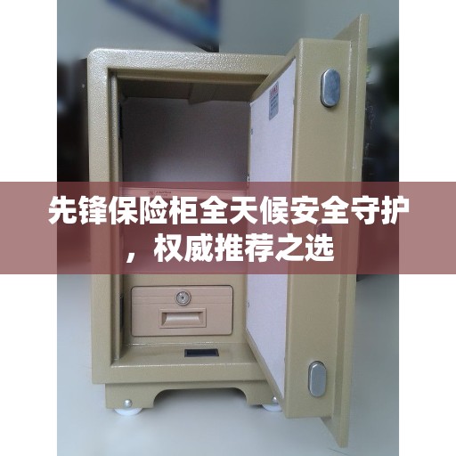 先锋保险柜全天候安全守护，权威推荐之选