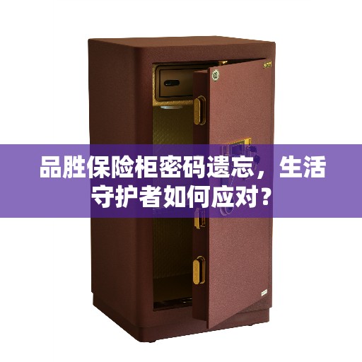 品胜保险柜密码遗忘，生活守护者如何应对？