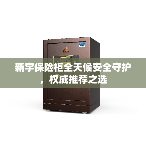 新宇保险柜全天候安全守护，权威推荐之选