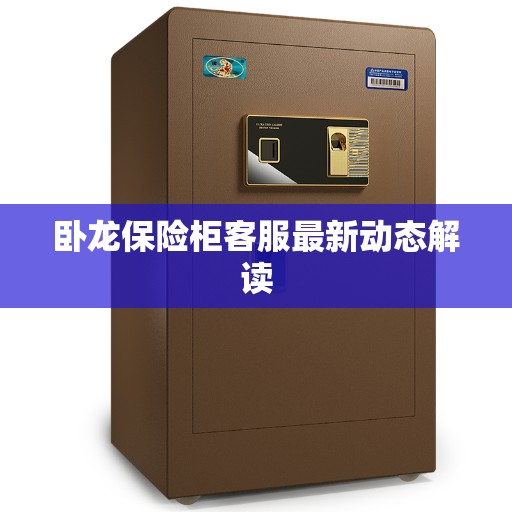 卧龙保险柜客服最新动态解读 卧龙保险柜客服最新动态解读