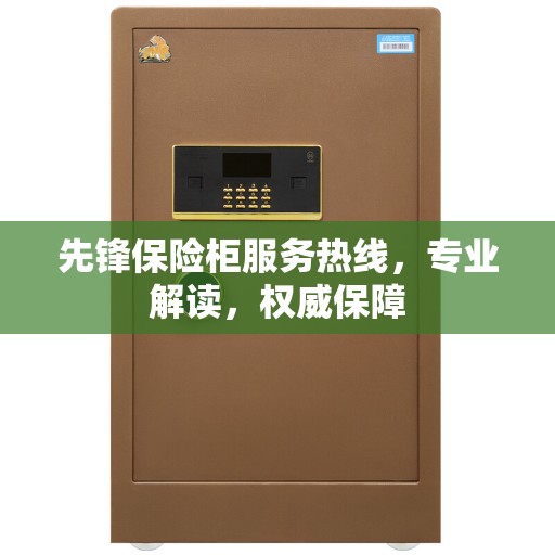 先锋保险柜服务热线，专业解读，权威保障