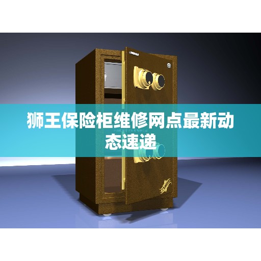 狮王保险柜维修网点最新动态速递