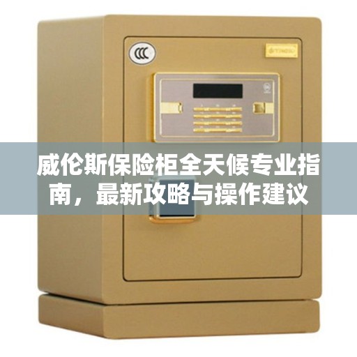 威伦斯保险柜全天候专业指南，最新攻略与操作建议
