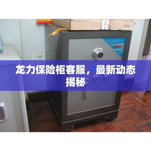龙力保险柜客服，最新动态揭秘