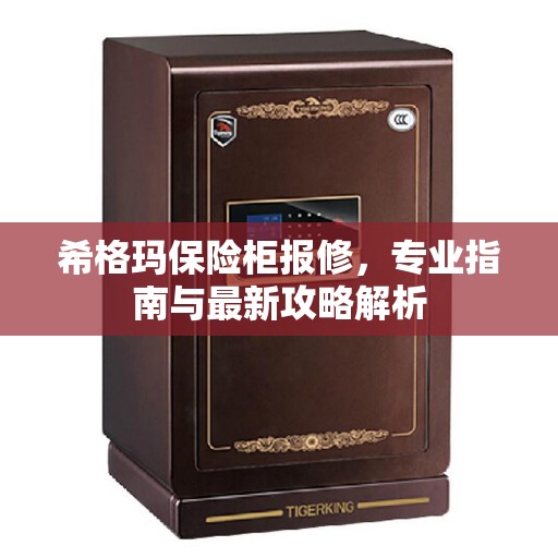 希格玛保险柜报修，专业指南与最新攻略解析