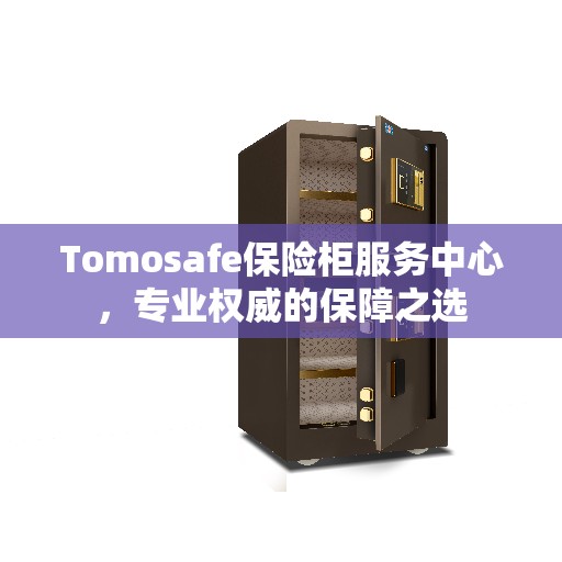 Tomosafe保险柜服务中心，专业权威的保障之选