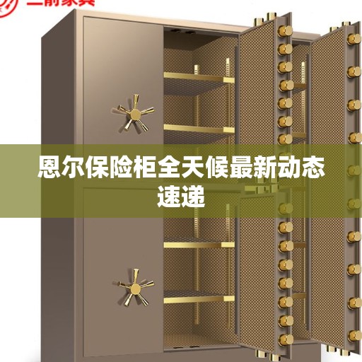 恩尔保险柜全天候最新动态速递