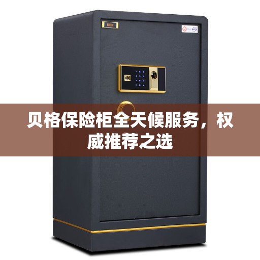 贝格保险柜全天候服务，权威推荐之选