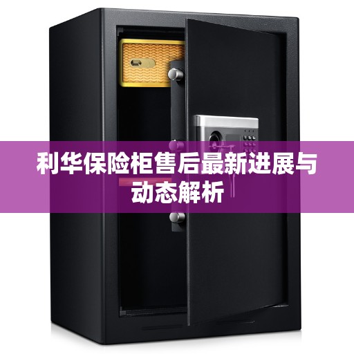 利华保险柜售后最新进展与动态解析