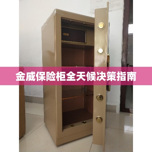 金威保险柜全天候决策指南