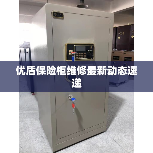 优盾保险柜维修最新动态速递