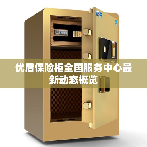 优盾保险柜全国服务中心最新动态概览