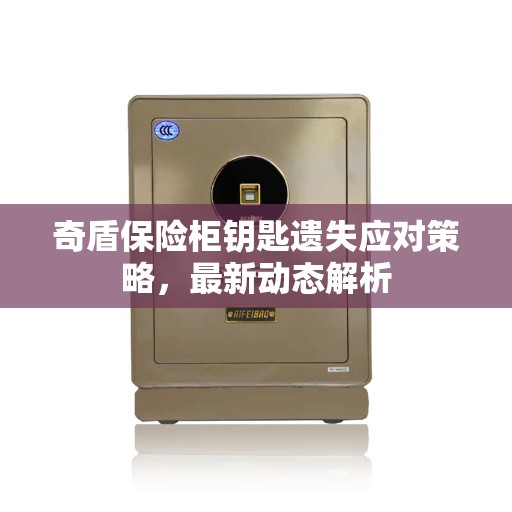 奇盾保险柜钥匙遗失应对策略，最新动态解析
