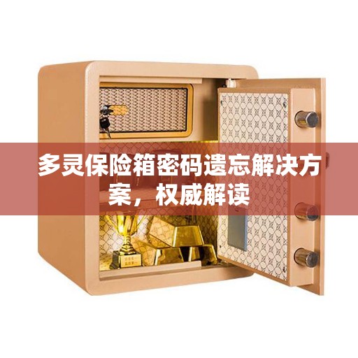 多灵保险箱密码遗忘解决方案，权威解读
