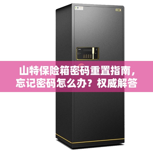 山特保险箱密码重置指南，忘记密码怎么办？权威解答