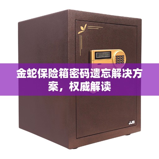 金蛇保险箱密码遗忘解决方案，权威解读