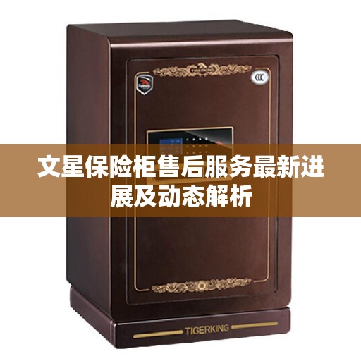 文星保险柜售后服务最新进展及动态解析