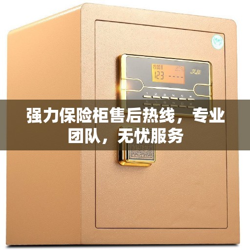 强力保险柜售后热线，专业团队，无忧服务