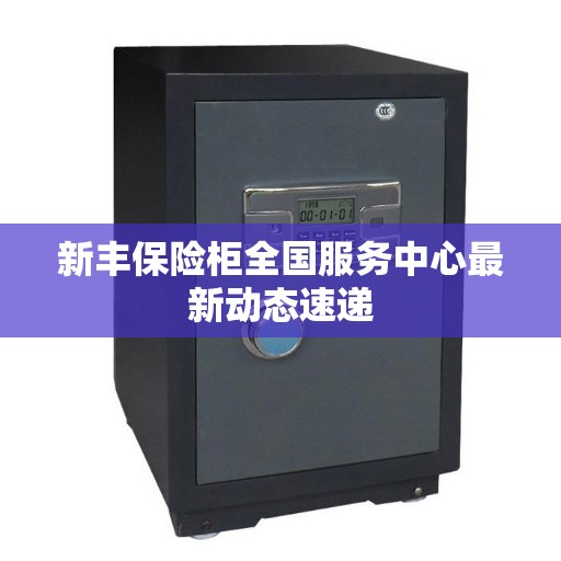 新丰保险柜全国服务中心最新动态速递