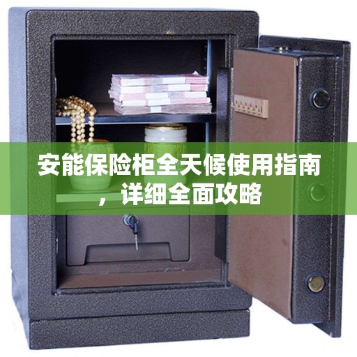 安能保险柜全天候使用指南，详细全面攻略