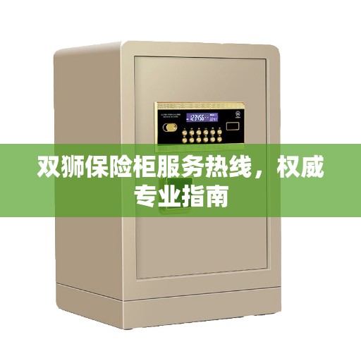 双狮保险柜服务热线，权威专业指南