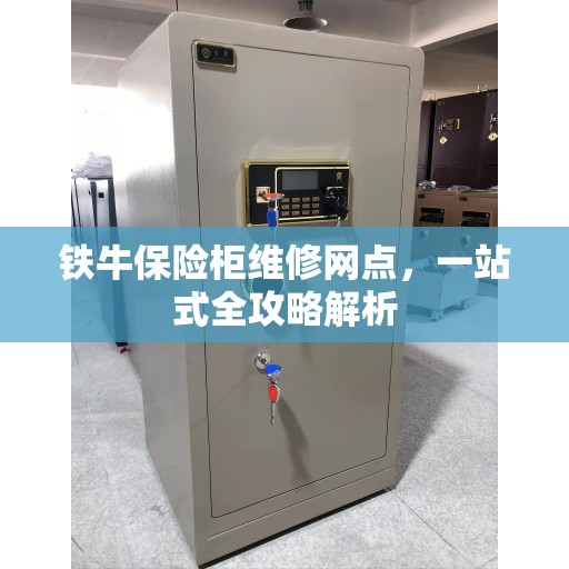 铁牛保险柜维修网点，一站式全攻略解析