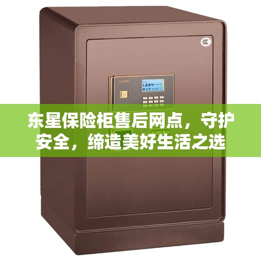 东星保险柜售后网点，守护安全，缔造美好生活之选