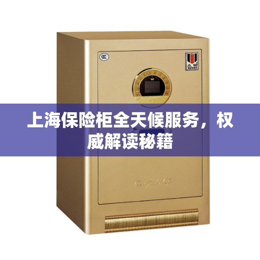 上海保险柜全天候服务，权威解读秘籍