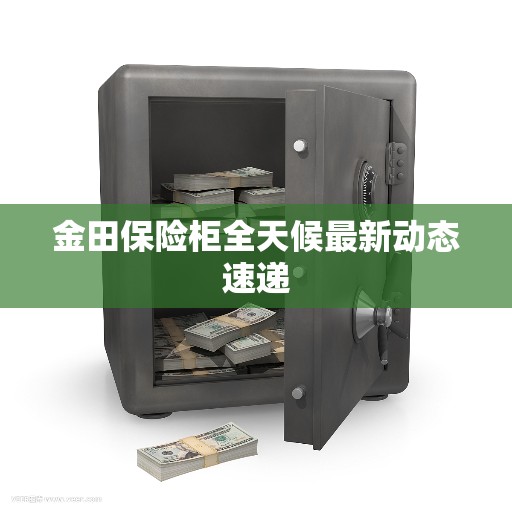 金田保险柜全天候最新动态速递