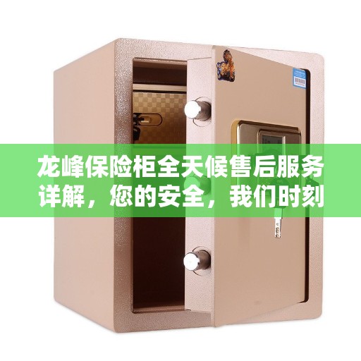 龙峰保险柜全天候售后服务详解，您的安全，我们时刻守护