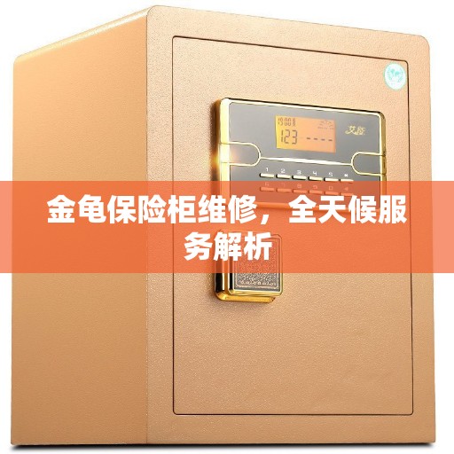 金龟保险柜维修，全天候服务解析