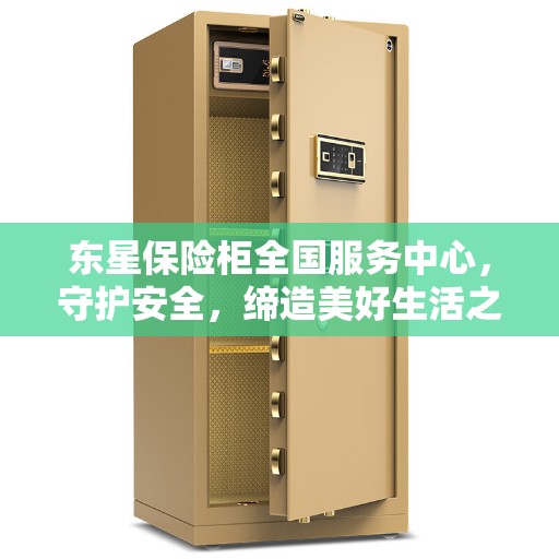 东星保险柜全国服务中心，守护安全，缔造美好生活之选