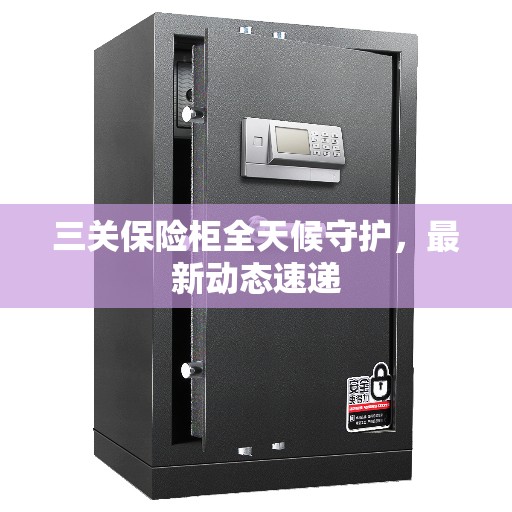 三关保险柜全天候守护，最新动态速递